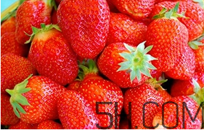 草莓都有哪些熱門品種？草莓怎么放不容易壞？