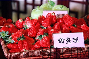 草莓都有哪些熱門品種？草莓怎么放不容易壞？