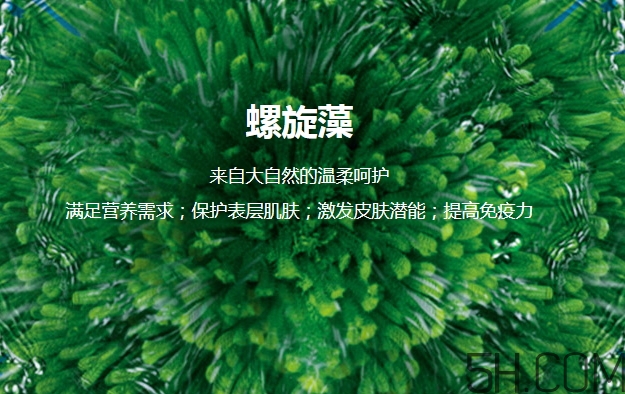 lantern蘭亭是什么牌子？蘭亭是哪個國家的什么檔次