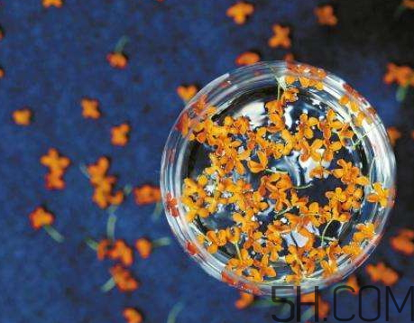 桂花香水多少錢(qián)一瓶 桂花香水哪個(gè)好聞