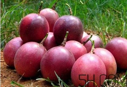 百香果幾月份的最好吃？百香果一次可以吃幾個(gè)？