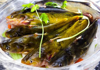 黃骨魚是發(fā)物嗎？黃骨魚是什么魚？
