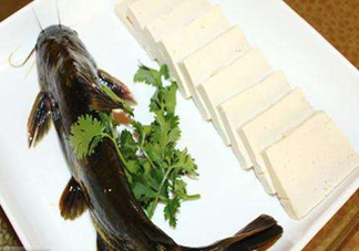 黃骨魚有刺嗎？黃骨魚有毒嗎？