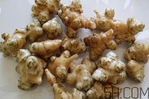 洋姜是什么時候成熟？洋姜是發(fā)物嗎