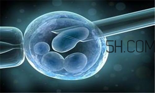 人工授精取卵子怎么?。咳斯な诰腥嗽鯓尤【?？