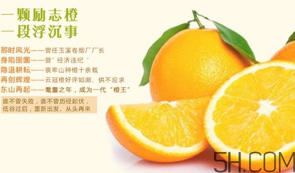 褚橙多少錢(qián)一斤？褚橙為什么這么貴