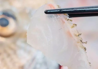 鯛魚怎么做？鯛魚是海魚還是淡水魚