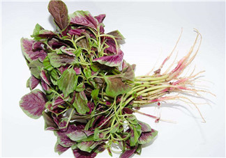 莧菜是酸性還是堿性？吃莧菜有什么好處？