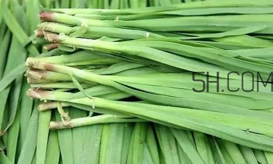 生蠔和韭菜一起吃有什么好處？吃韭菜的好處