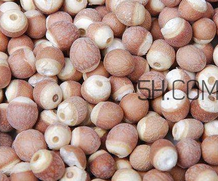 芡實(shí)是中藥嗎？芡實(shí)哪里可以買到