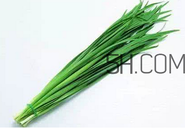 立秋后可以種韭菜嗎？怎樣種韭菜？