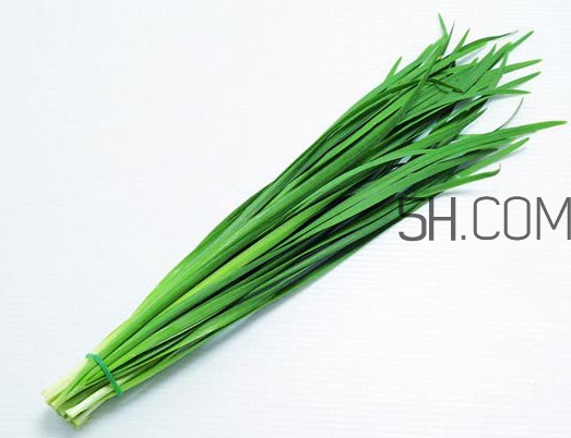 秋天吃韭菜好嗎？韭菜和莧菜能一起吃嗎？