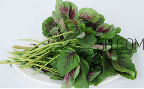 莧菜為什么是紅的？莧菜是涼性的嗎？