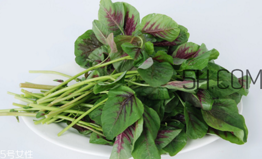 上火能吃咸莧菜嗎？寶寶能吃莧菜嗎？