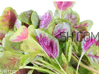 上火能吃咸莧菜嗎？寶寶能吃莧菜嗎？