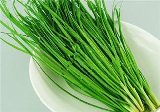 立秋后可以種韭菜嗎？怎樣種韭菜？