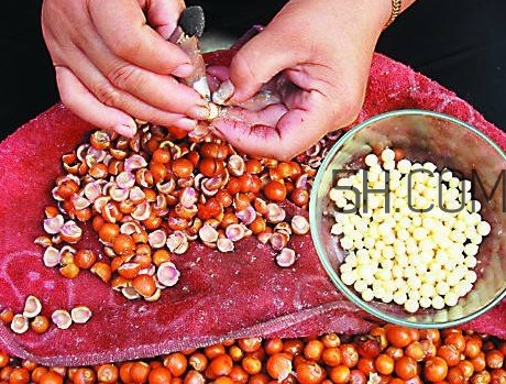芡實(shí)有什么作用？芡實(shí)是哪里的特產(chǎn)