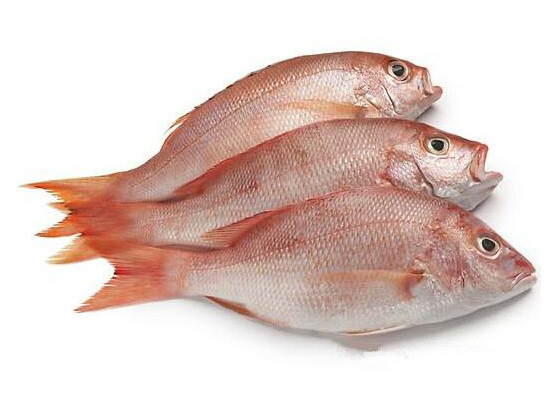 鯛魚多少錢一斤？鯛魚魚骨有什么營養(yǎng)價值