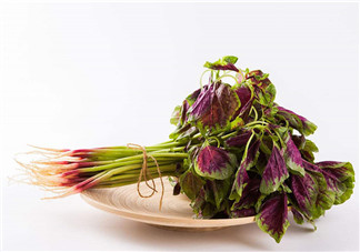 莧菜為什么是紅的？莧菜是涼性的嗎？