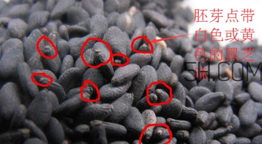 黑芝麻清洗掉色正常嗎？黑芝麻有黑色素嗎？