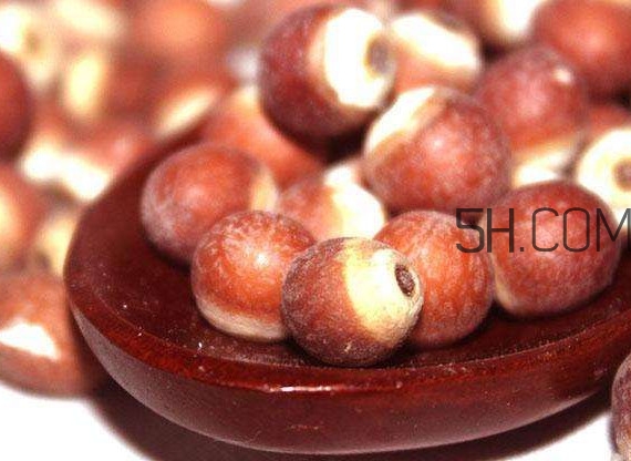 芡實(shí)營養(yǎng)價(jià)值有哪些？芡實(shí)哪里的最好