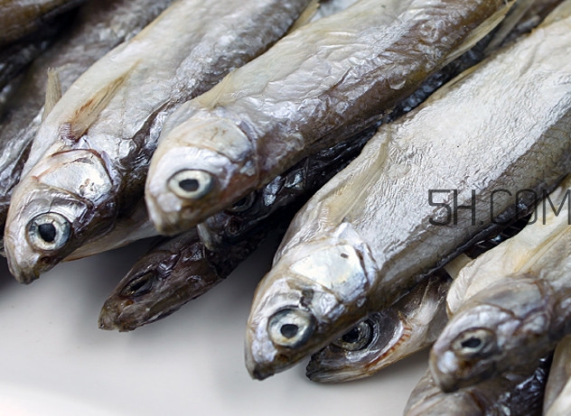 刁子魚是淡水魚嗎？刁子魚怎么釣