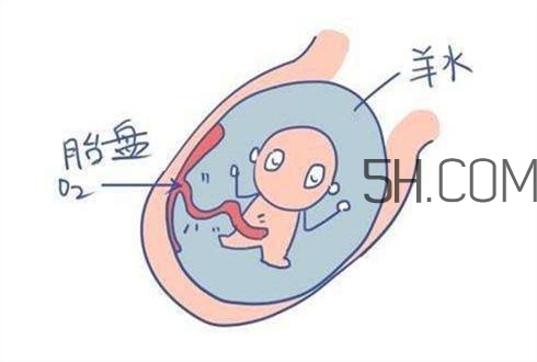 怎么防止羊水早破？羊水早破的危害