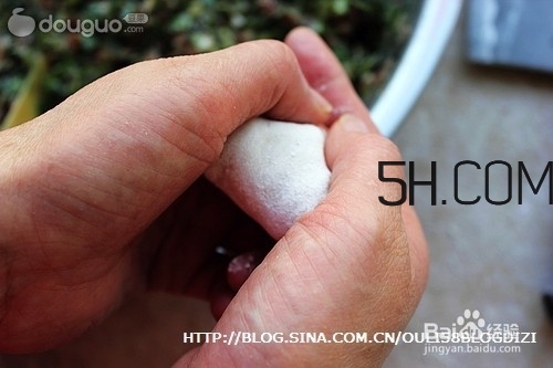 怎么包餃子快又好看？十種家常包餃子的方法~