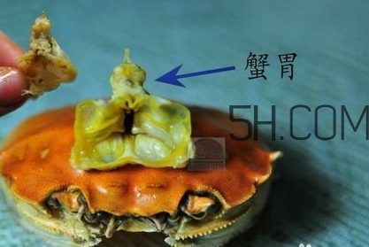 螃蟹的屎在哪里？螃蟹的屎和蟹黃怎么分辨？