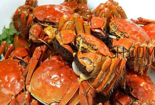 孕婦吃螃蟹多久流產(chǎn)？孕婦吃多少螃蟹會(huì)流產(chǎn)？