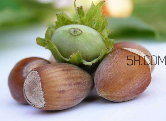 榛子生吃好還是熟吃好？榛子怎么吃營養(yǎng)價值高？