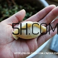 怎么包餃子快又好看？十種家常包餃子的方法~