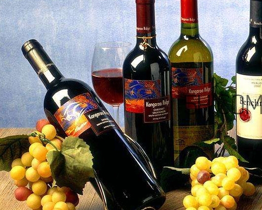小孩能不能喝葡萄酒？高血糖能不能喝葡萄酒