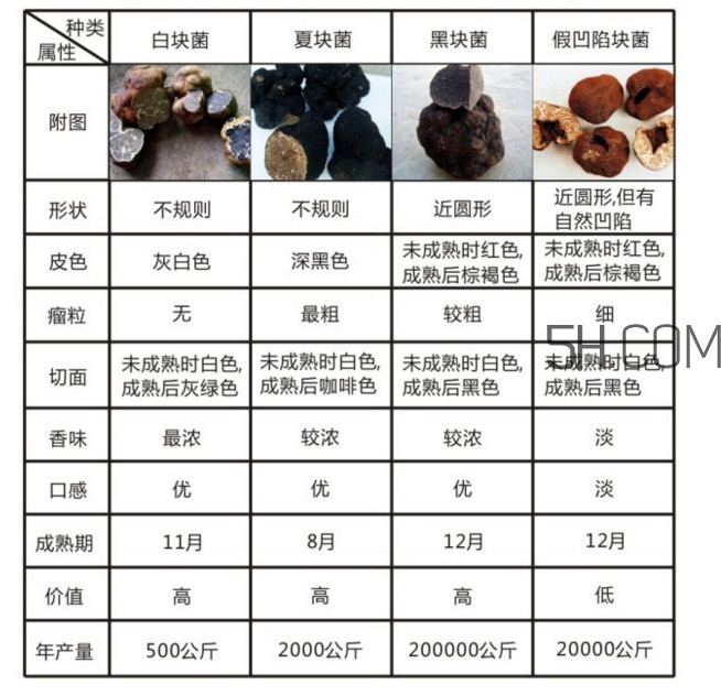 松露怎么分辨真假？松露怎么清洗