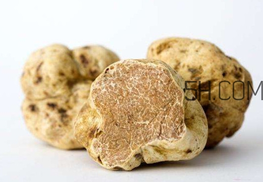 松露不能和什么一起吃？松露有毒嗎