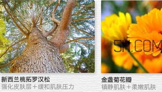 the saem得鮮眼霜適合什么年齡？得鮮眼霜怎么樣？