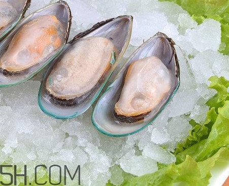 海蠣子是發(fā)物嗎？海蠣子什么人不能吃