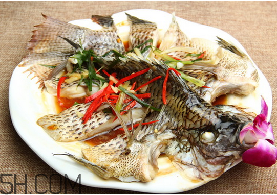 沒有魚刺的魚是哪種魚？如何挑選魚？