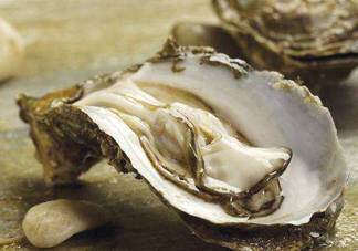 海蠣子是生蠔嗎？海蠣子和生蠔的區(qū)別