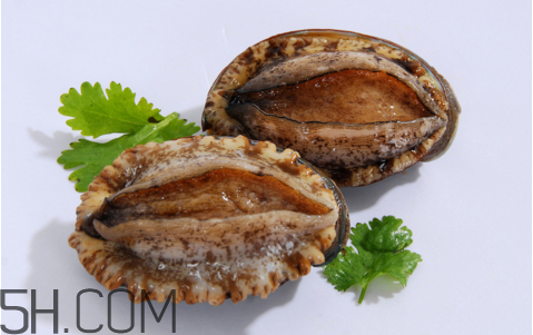 鮑魚吃了會上火嗎？鮑魚是發(fā)物嗎？