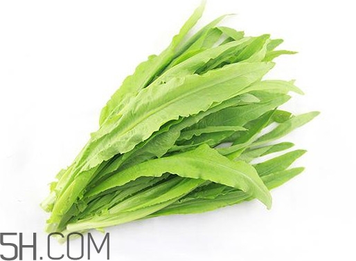 油麥菜是轉(zhuǎn)基因蔬菜嗎？油麥菜是發(fā)物嗎