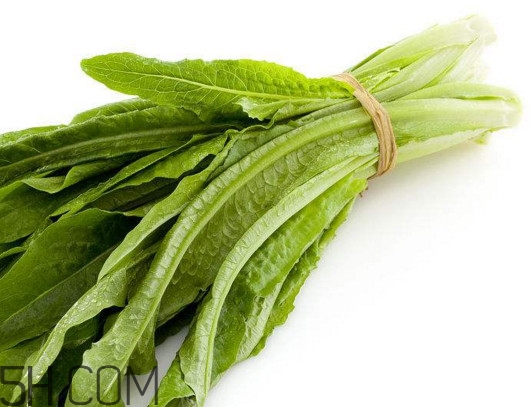 油麥菜怎么做好吃？油麥菜怎么種植