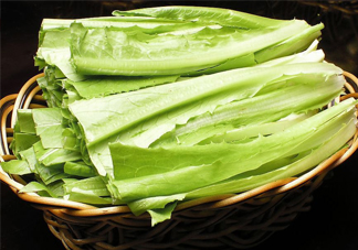 西紅柿和油麥菜能一起吃嗎？油麥菜能包餃子嗎