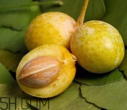 白果沒(méi)熟吃了會(huì)怎么樣？白果熟了是什么樣子的