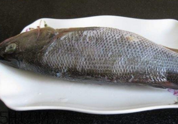鮭魚(yú)是三文魚(yú)嗎？鮭魚(yú)的營(yíng)養(yǎng)價(jià)值