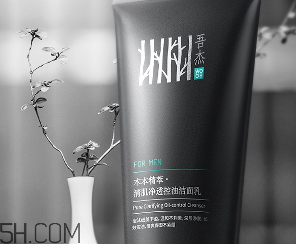 吾杰洗面奶怎么樣_吾杰洗面奶多少錢(qián)