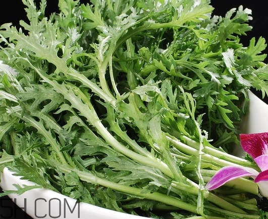 皇帝菜是什么樣子？皇帝菜又叫什么菜