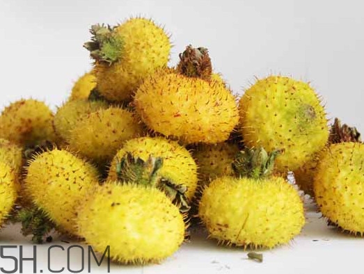 刺梨能降血壓嗎？刺梨是哪里的特產(chǎn)