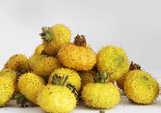 刺梨能降血壓嗎？刺梨是哪里的特產(chǎn)