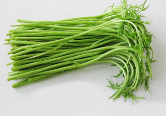 藜蒿多少錢一斤？藜蒿和蘆蒿是同一種菜嗎？